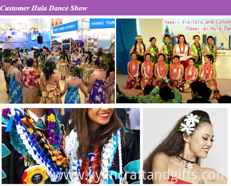 Hula Dance Show